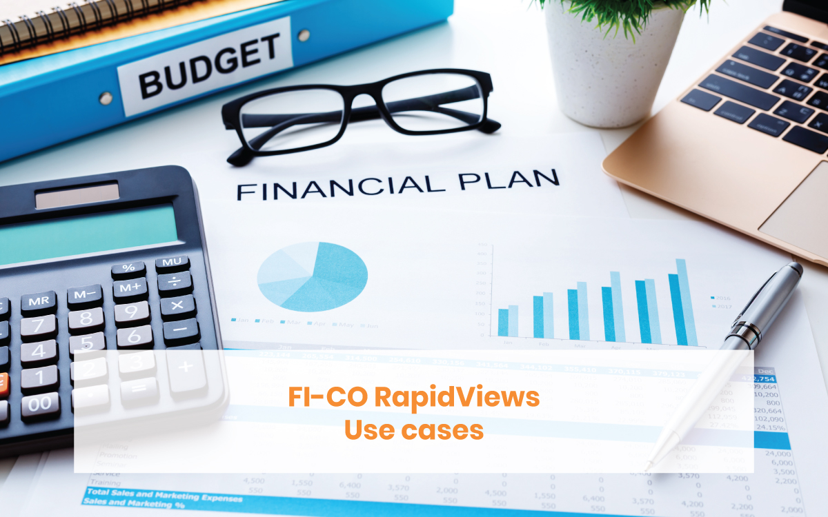 FI/CO (Financial Accounting and Controlling) use case, demonstrating how SAP solutions enhance financial reporting, budgeting, and cost tracking within an organization.