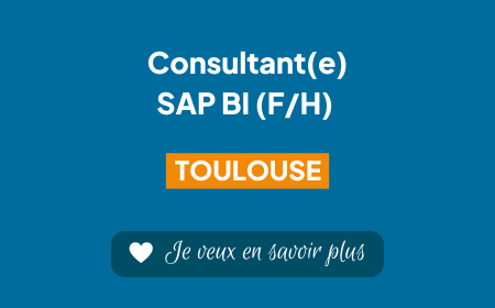 Image pour l'offre de recrutement Consultant SAP BI à Toulouse chez RapidViews.